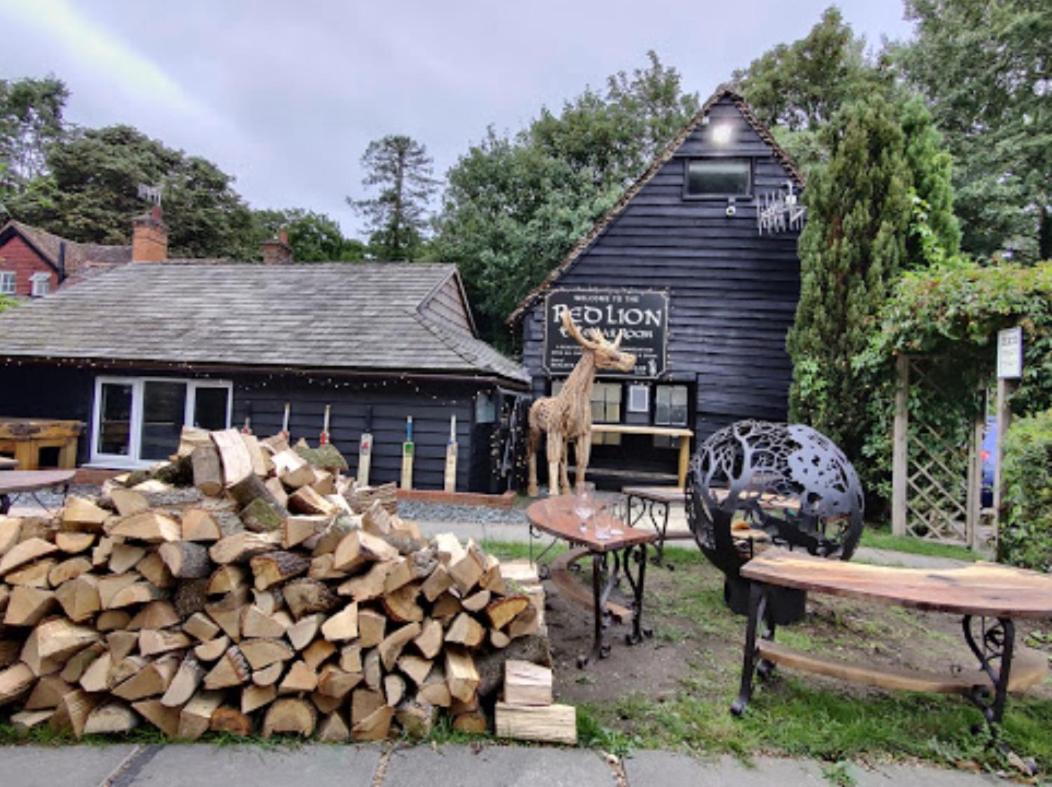 The Red Lion & Cellar Room, Betchworth Exteriér fotografie