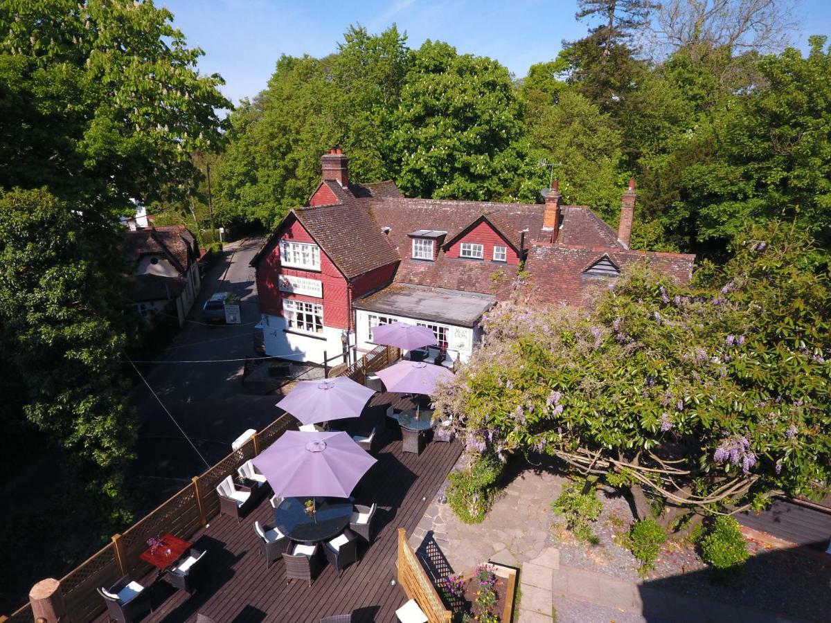 The Red Lion & Cellar Room, Betchworth Exteriér fotografie
